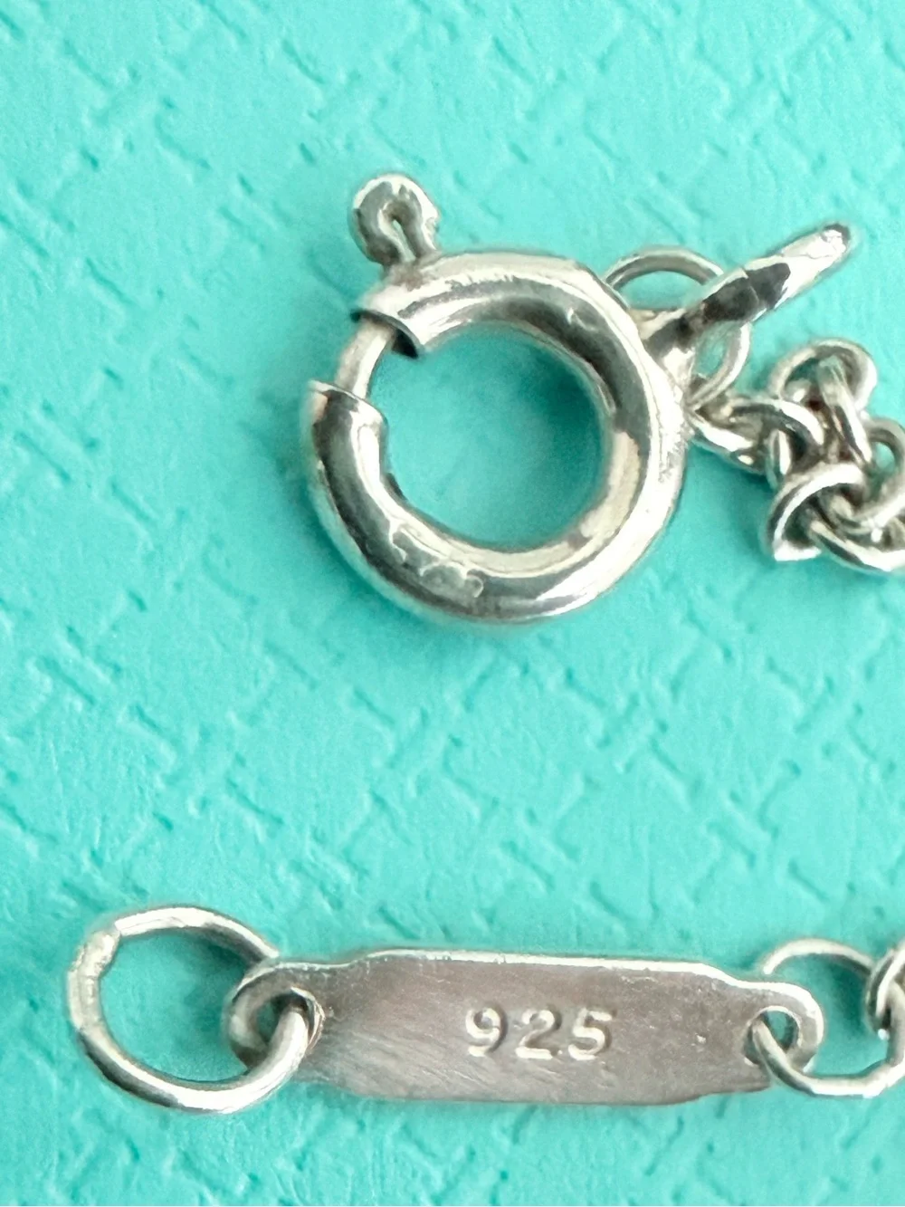 1837 Tiffany & Co. Interlocking Rings Lariat Necklace